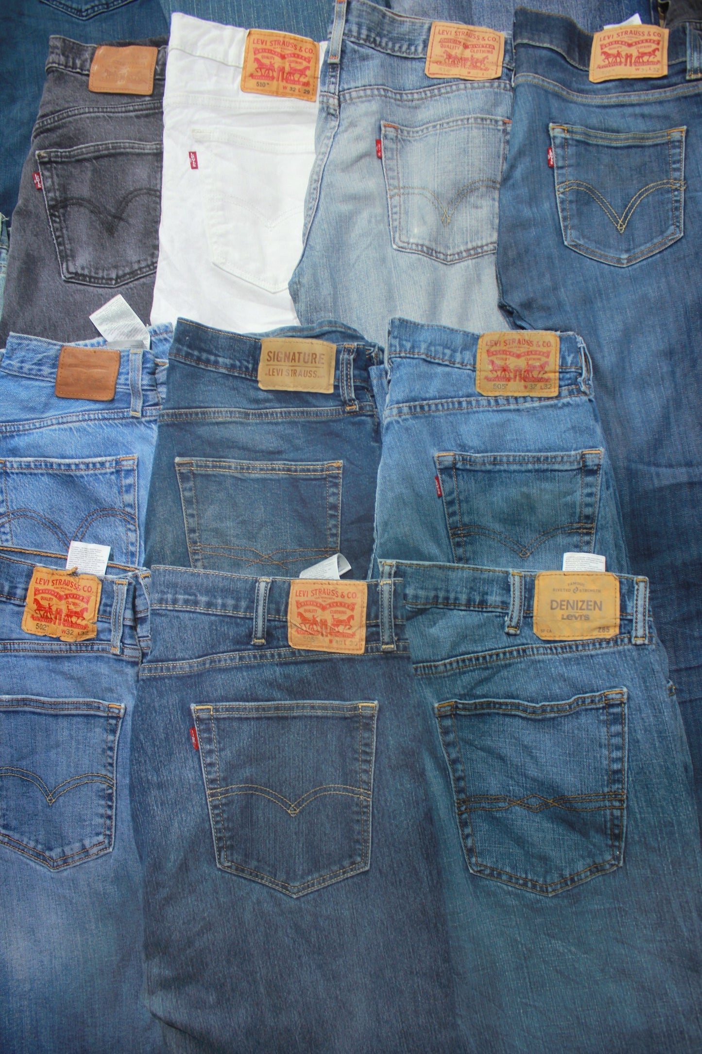 Levis Hose B